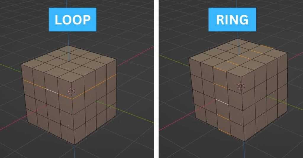 Edge Loops vs Edge Rings