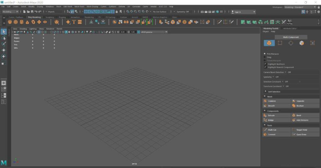 Maya Interface