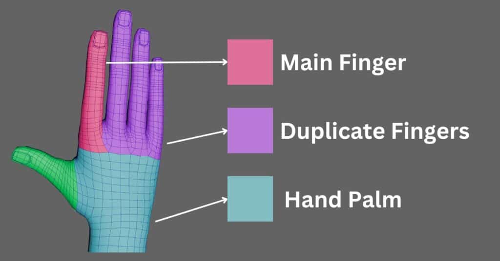 Hand topology reference - step 1